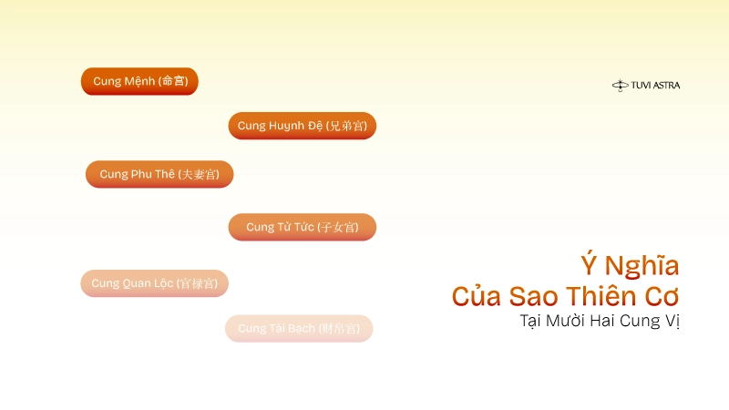 Hình ảnh sao Thiên Cơ