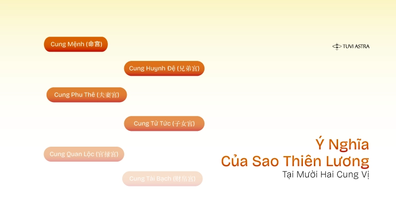 Sao Thiên Lương trong Tử Vi Đẩu Số