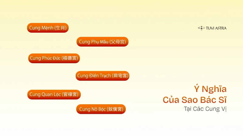 Ảnh hưởng của sao Bác Sĩ tại các cung vị