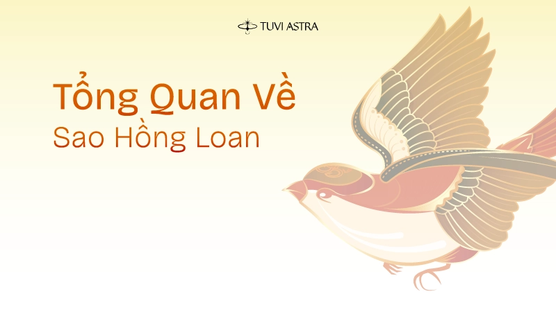 Tổng quan về sao Hồng Loan