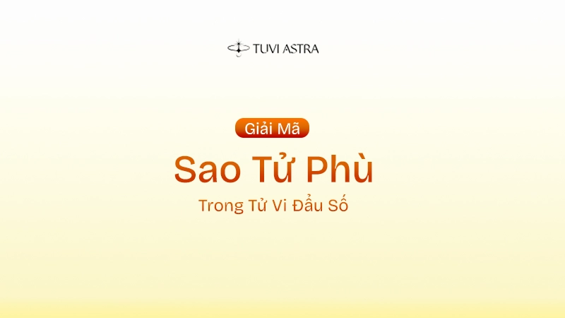 Sao Tử Phù Là Gì? Ý Nghĩa Sao Tử Phù Tại Các Cung Vị