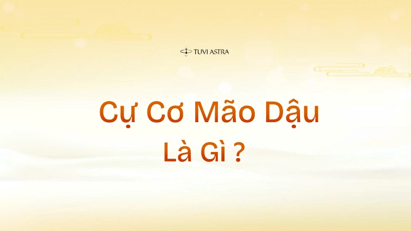 Cách cục Cự Cơ Mão Dậu