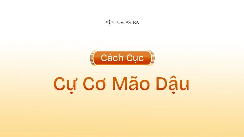 Ý nghĩa cách cục Cự Cơ Mão Dậu