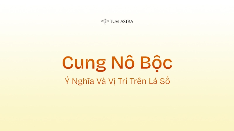 Cung Nô Bộc Là Gì? Giải Nghĩa Cung Nô Bộc Và Vai Trò Các Tinh Diệu