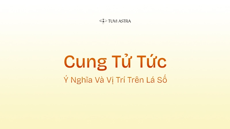 Cung Tử Tức Là Gì? Giải Nghĩa Cung Tử Tức Và Vai Trò Các Tinh Diệu